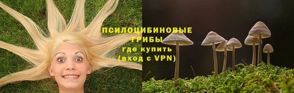 герыч Кинешма